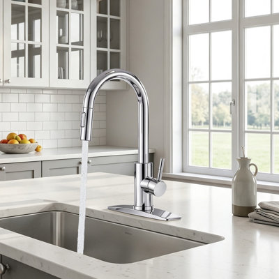 Pull Down Spray Single Lever Kitchen Tap