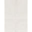 Area Rug in Ivory
