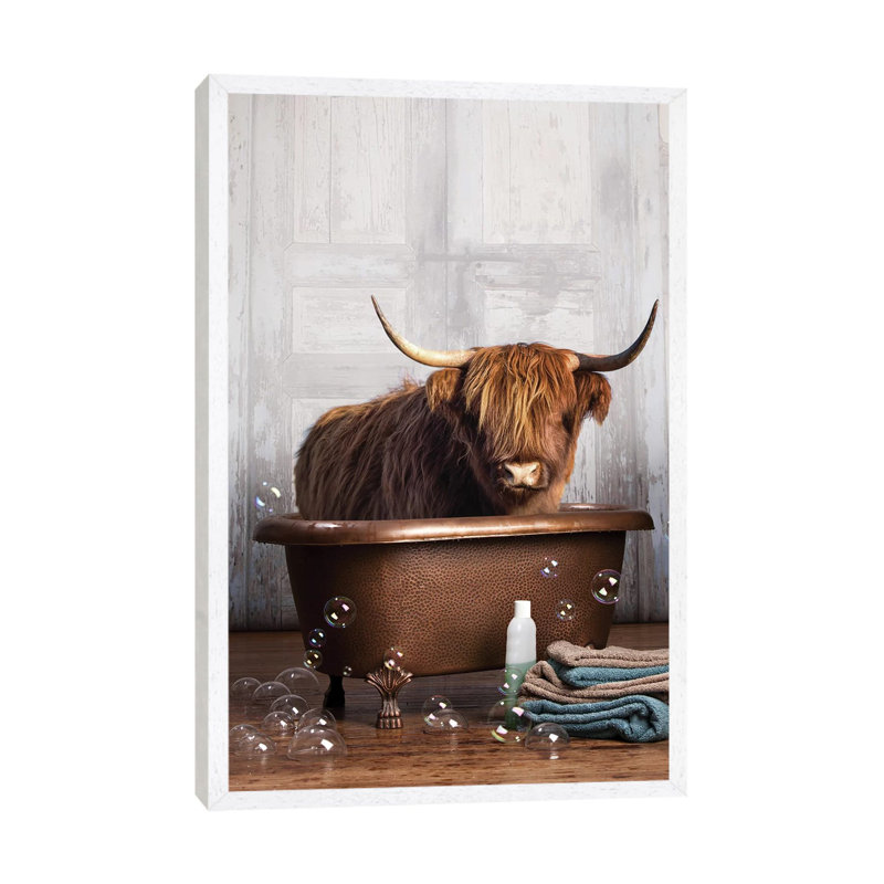 Highland Cow In The Tub by Domonique Brown - Print on Canvas, 101.6 cm H x 66.04 cm W, White Framed Canvas