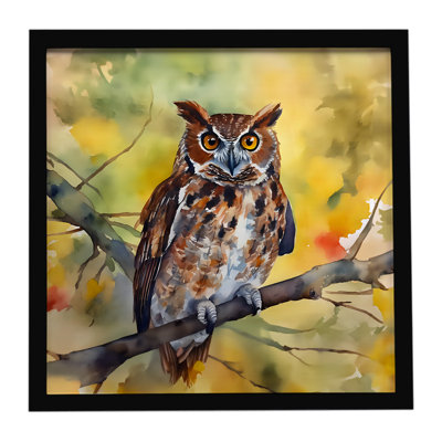 Eastern Screech Owl, impression sur métal encadrée