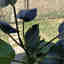Customer photo 4 of 6