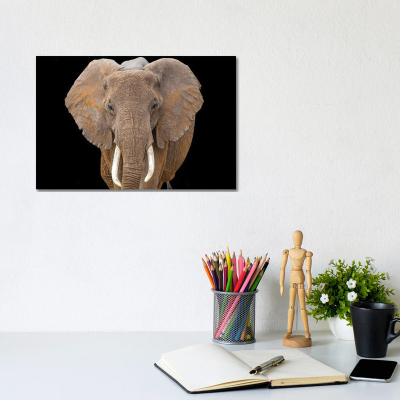 Vanishing Breed? by Jeffrey C. Sink - Wrapped Canvas Print, 20.32 cm H x 30.48 cm W