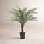 Faux Fern Tree in Pot-203898962