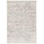 Peter Silver/Ivory Area Rug-1631679377