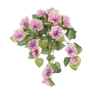 OakRidge Petunia Hanging Stem