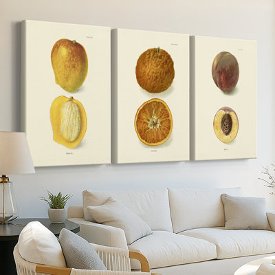 Mango  -Custom Wrapped Gallery Canvas - 3 Pieces