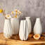 Ensemble de 12 vases blancs en céramique blanche pour vases à bourgeons en vrac pour l'herbe de la pampa, centre de table de mariage, bohème moderne pour vase rustique