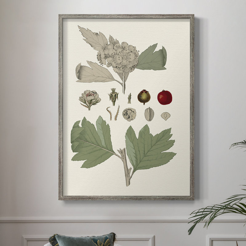 «Leaves & Berries IV», reproduction encadrée - bois massif, H 30 po x l 24 po