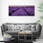 Lavender Field - No Frame Print on Canvas