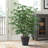 48'' Faux Tree in Wicker/Rattan Basket