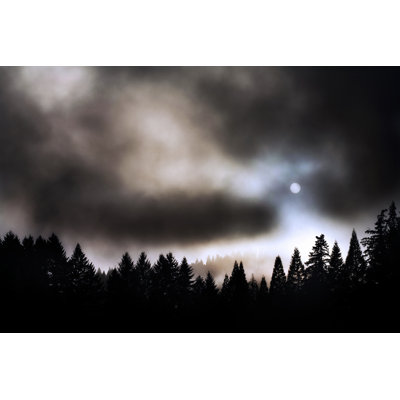 Fogged In - Wrapped Canvas Print