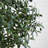Yost 72'' Faux Olive Tree Tree in Ceramic Planter