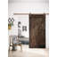 Lesniak Solid Pine Sliding Door