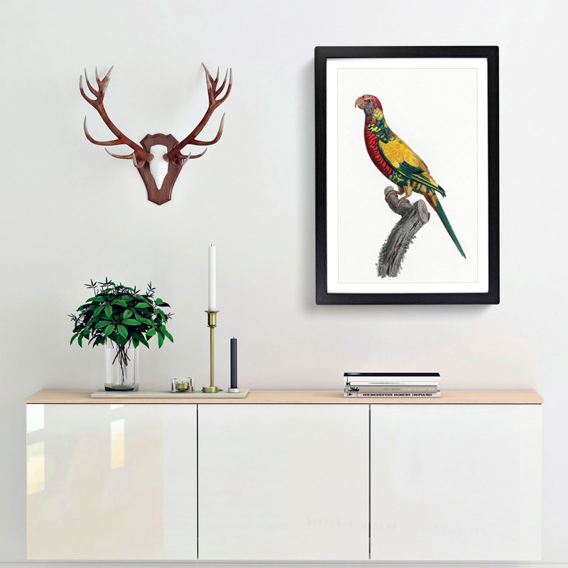 Rainbow Lorikeet by F. Levaillant - Picture Frame Painting Print, 48cm H x 36cm W x 2cm D, Black Framed