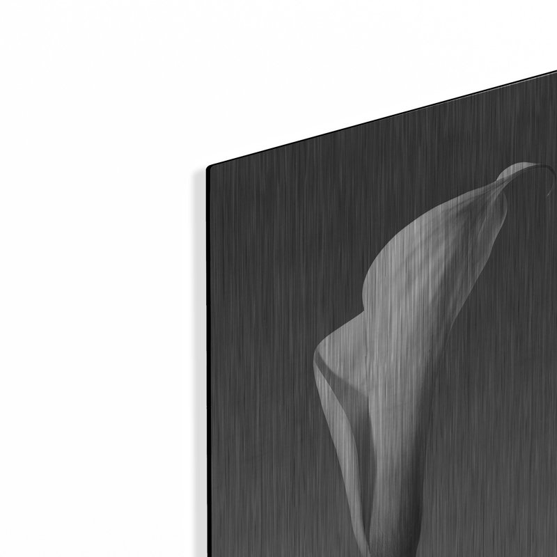 «Calla No. 4» par PhotoINC Studio, H 16 po x l 12 po