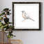 Robin des bois II-62718989-62718990