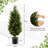 90cm Faux Cedar Tree in Pot