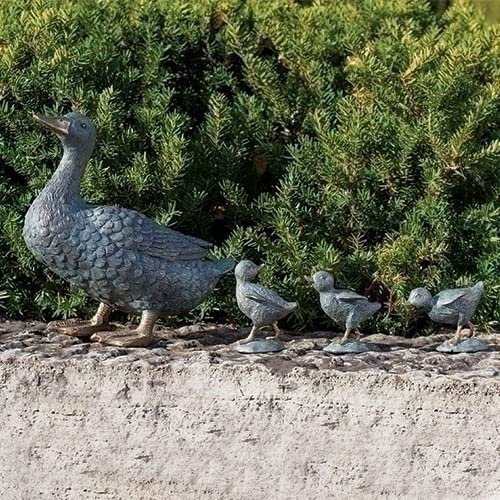 Duck Decoy Ivy Plant