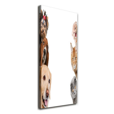 Dogs And Cats - Wrapped Canvas Print