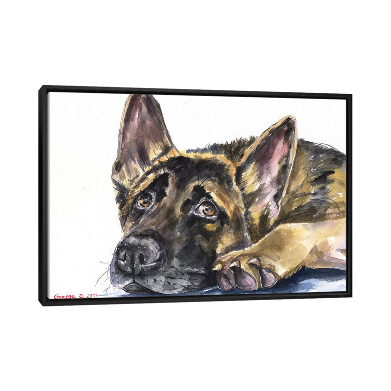 « german berger », impression sur toile, H 18 po x l 26 po x P 1,5 po, Toile avec cadre noir
