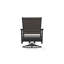Wexler Outdoor Swivel Lounge Chair-1102391100-1099678803