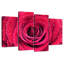 Harnek Dewy - pétales de rose rouges-108901161