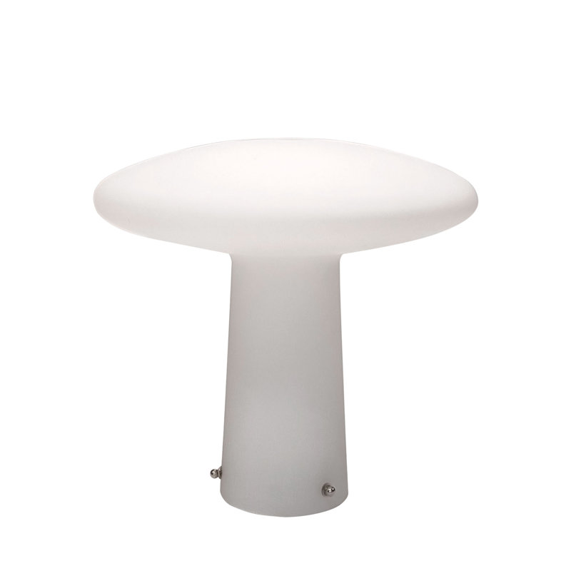 Micahia Glass Novelty Lamp