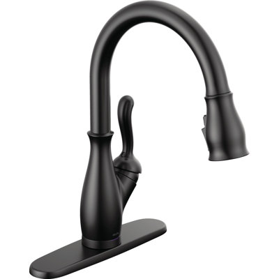 Leland VoiceIQ Kitchen Faucet with Touch2O with Touchless Technology