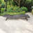 Ragena Outdoor Wicker Chaise Lounge