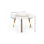 Three Leg Coffee Table