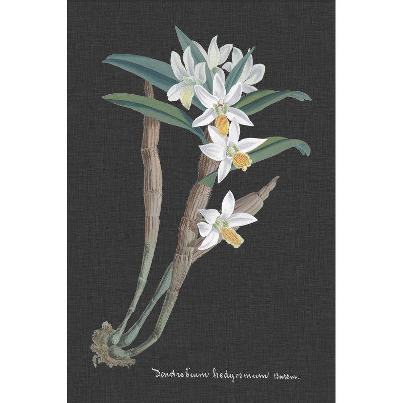 Orchid on Slate I by Vision Studio - Painting, Wrapped Canvas, 91 cm H x 61 cm W