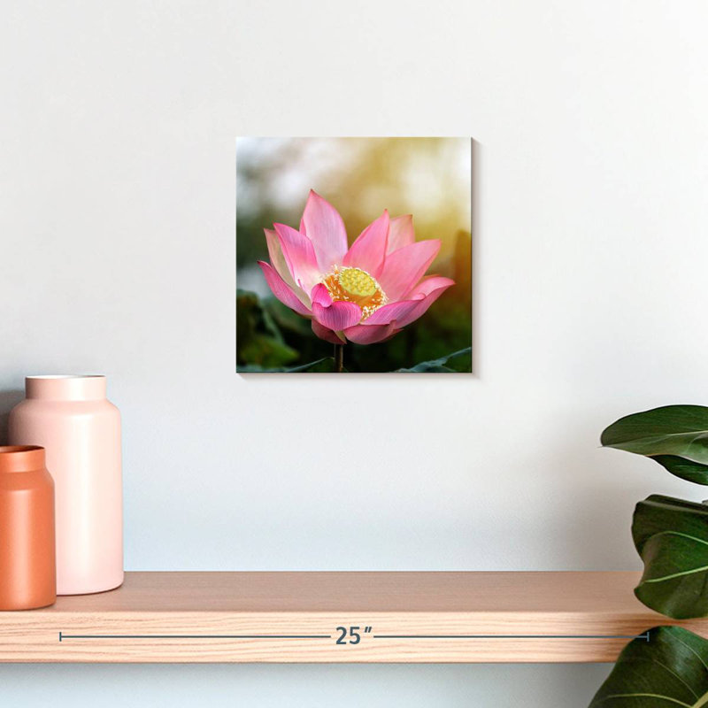 Harnek Lotus au soleil, H 10 po x l 10 po