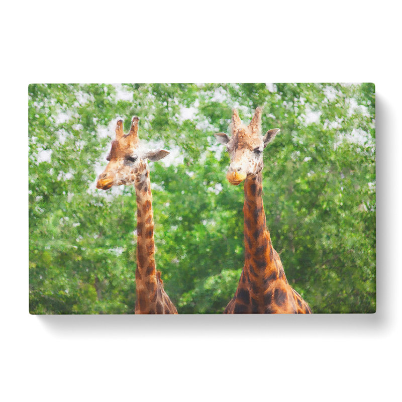 Two Giraffes Vol.2 - Wrapped Canvas, 35cm H x 50cm W x 3cm D
