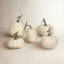 Full Moon Pumpkin Collection, Set Of 5