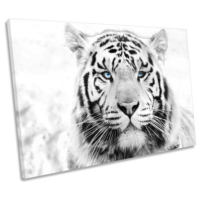 White Tiger Face - Wrapped Canvas Print, 61cm H x 91.4cm W x 4cm D