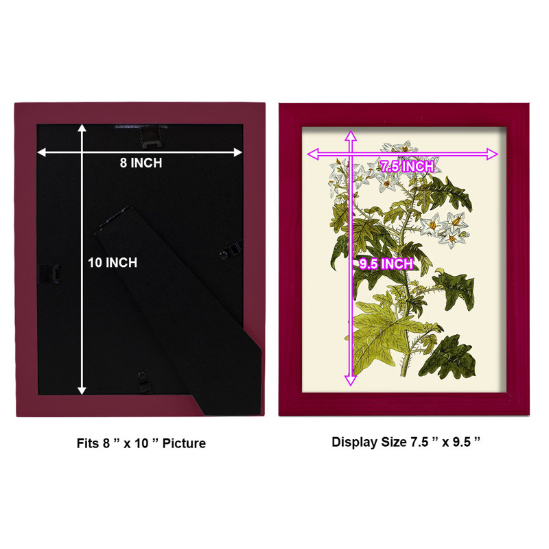 Olive Greenery VI - reproduction d'un seul cadre photo, H 11 po x l 9 po x P 1 po, Rouge
