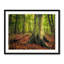 The Giving Tree Print by Scott Norris-65852689-65827490
