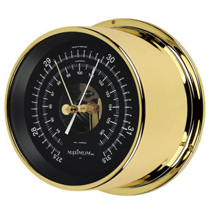 Proteus Barometer by Maximum Weather Instruments
