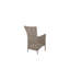 Bursaite 43cm H 100% Polyester Upholstered Armchair