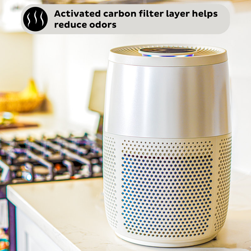 Instant Air Purifier with True HEPA, Pearl