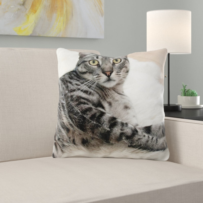 Coussin pour chat