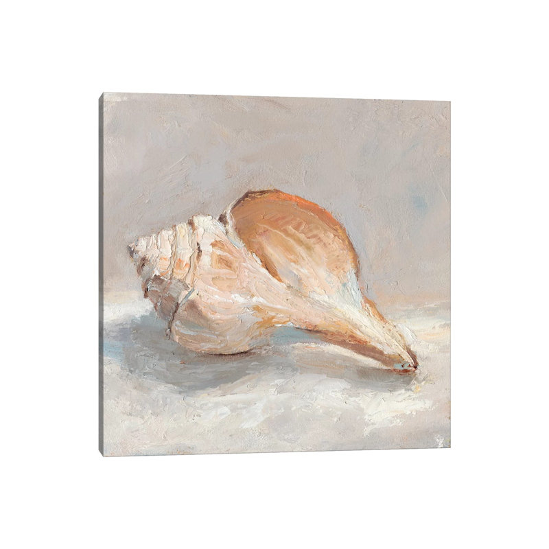 Reproduction d’art sur toile, "Impressionist Shell Study III" par Ethan Harper, Pas de tapis, Toile tendue