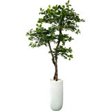 Hand-Made Primrue Fresh Italian Black Olive Leaf 5'' Artificial Tree