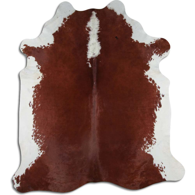 Hereford Colona