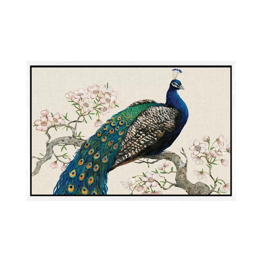 Peacock & Blossoms I von Tim OToole - Galerie-verpackte Leinwand Giclée auf Leinwand