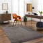Gaibrial Area Rug in Black-1173783365