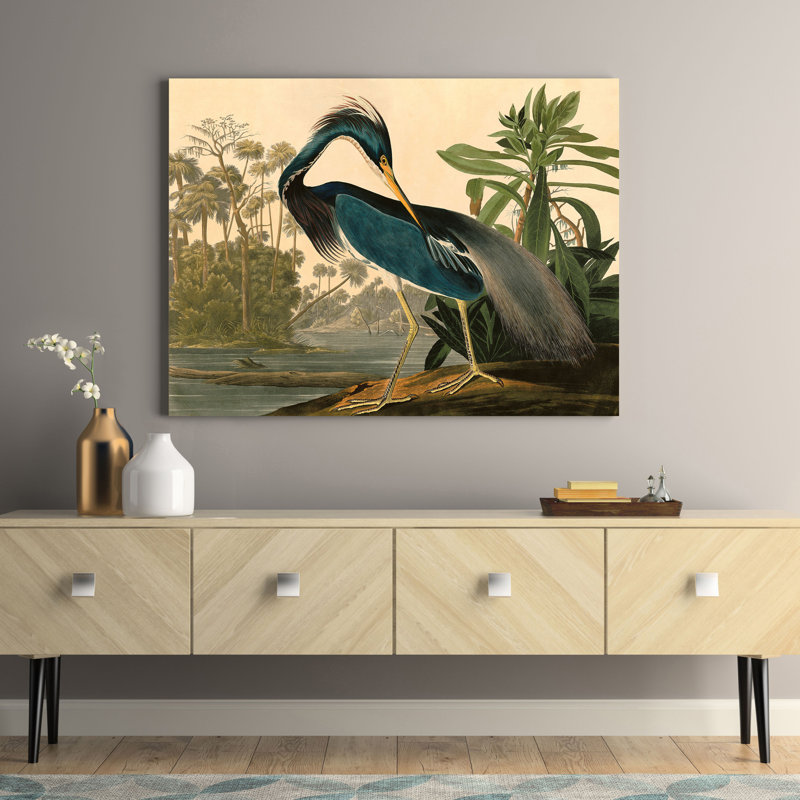 Louisiana Heron by John Audubon - No Frame Painting on Canvas, 60cm H  x 80cm W  x 4cm D