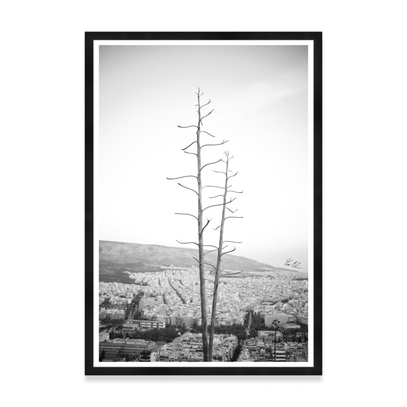 Agave sur les hauteurs d'Athènes III en noir et blanc, H 54,75 po x l 37,5 po x P 1,5 po, Noir