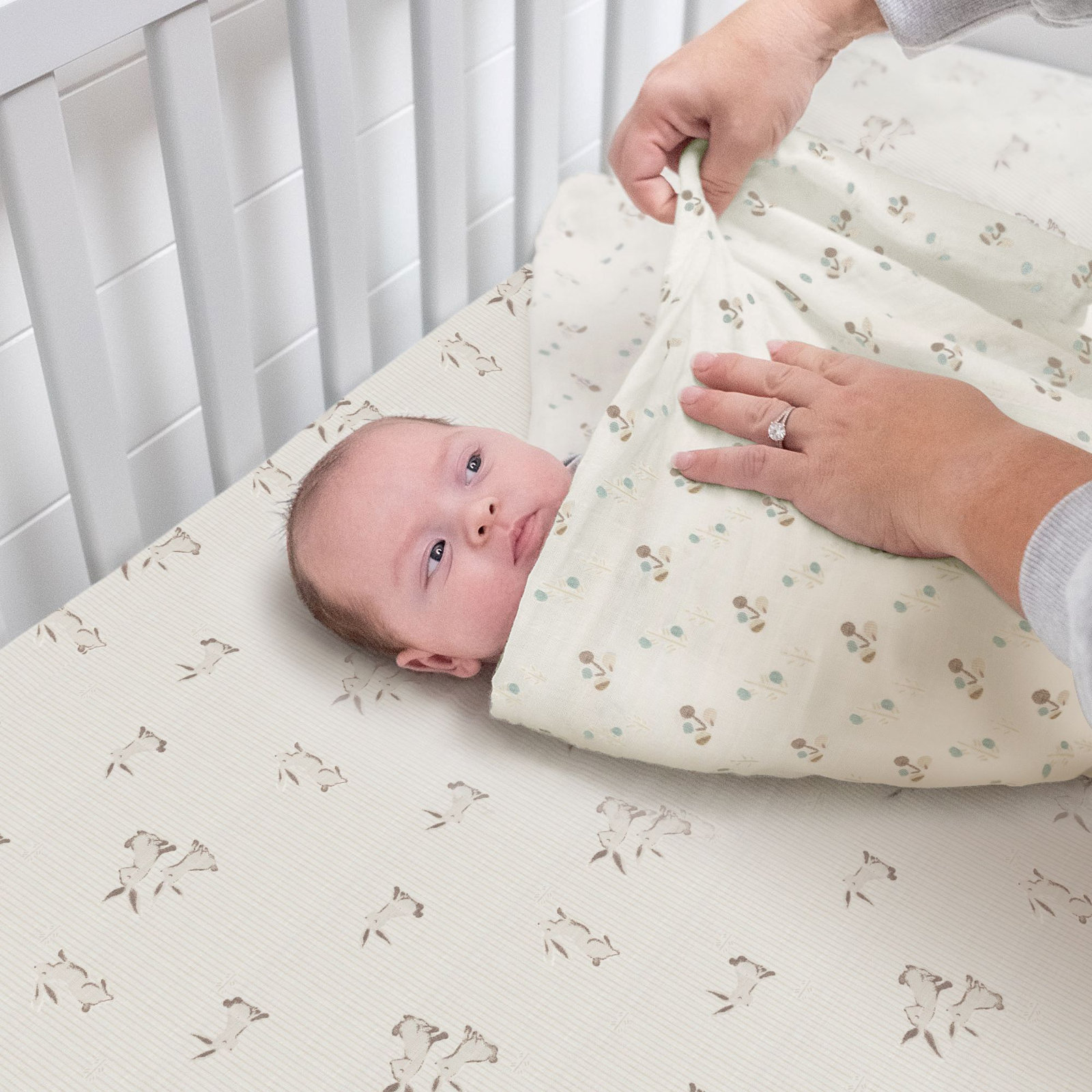 Garcia 100% Organic Cotton Bunny Crib Sheet, GOTS Certified, Ultra-Soft, Birch Lane