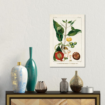 Turpin Foliage & Fruit III 1 Piece Wall Art on Canvas